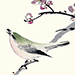 Chisa Takemura Gallery